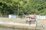 Dcim0359/Dsc_0255