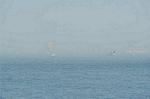 Dcim0360/Dsc_0345