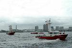 Dcim0374/Dsc_2466