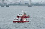 Dcim0382/Dsc_3350