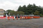 Dcim0387/DSC_3971