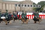 Dcim0387/Dsc_3976