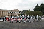 Dcim0387/DSC_3985