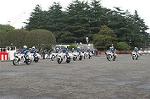 Dcim0387/Dsc_4018