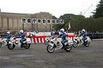 Dcim0387/Dsc_4019