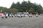 Dcim0387/Dsc_4021