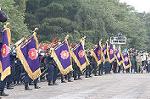 Dcim0388/DSC_4099