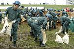 Dcim0397/Dsc_5138
