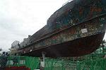 Dcim0412/Dsc_7007