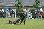 Dcim0415/Dsc_7467