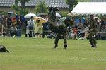 Dcim0415/Dsc_7478