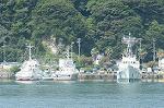 Dcim0442/Dsc_1032