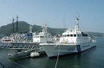 Dcim0445/DSC_1441