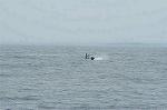 Dcim0453/DSC_2464