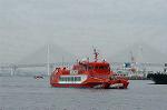 Dcim0465/Dsc_4206