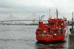 Dcim0466/Dsc_4413