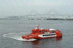 Dcim0469/Dsc_4703