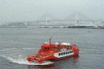 Dcim0469/Dsc_4705