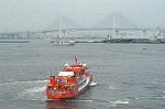Dcim0469/Dsc_4742