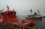 Dcim0480/Dsc_5993