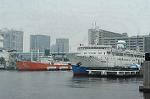 Dcim0481/Dsc_6218