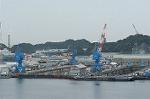 Dcim0486/Dsc_6646
