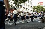 Dcim0491/Dsc_7384
