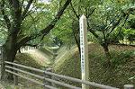 Dcim0515/Dsc_0598