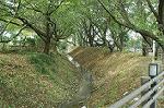 Dcim0515/Dsc_0599