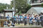 Dcim0515/Dsc_0729