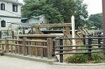 Dcim0517/Dsc_1020