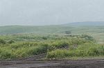 Dcim0521/Dsc_1566