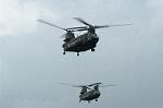 Dcim0528/Dsc_2564