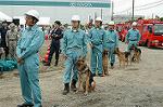 Dcim0530/Dsc_2826