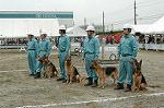 Dcim0530/Dsc_2831