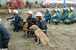 Dcim0532/Dsc_3155