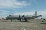 Dcim0536/Dsc_3675