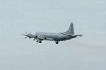Dcim0537/Dsc_3816