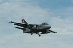 Dcim0538/Dsc_3956