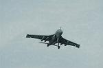 Dcim0538/Dsc_3979