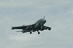 Dcim0538/Dsc_3981