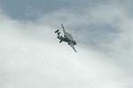 Dcim0538/Dsc_4029