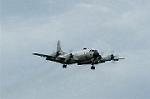 Dcim0539/Dsc_4123