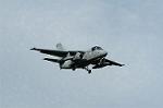 Dcim0539/Dsc_4132