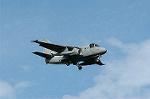 Dcim0539/Dsc_4133