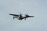 Dcim0539/Dsc_4142