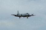 Dcim0539/Dsc_4157