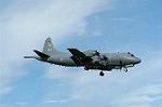 Dcim0539/DSC_4162
