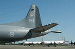 Dcim0542/Dsc_4563