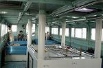 Dcim0544/Dsc_4846